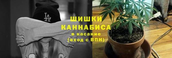 сатива Беломорск