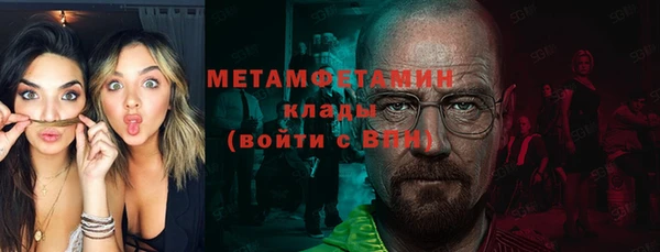 сатива Беломорск