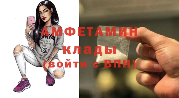 сатива Беломорск
