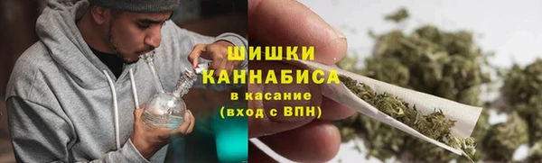 сатива Беломорск