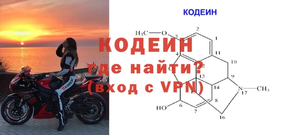 сатива Беломорск