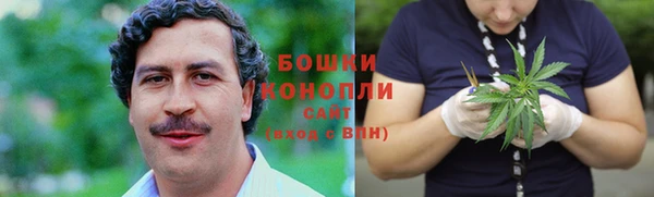 сатива Беломорск