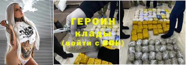 сатива Беломорск