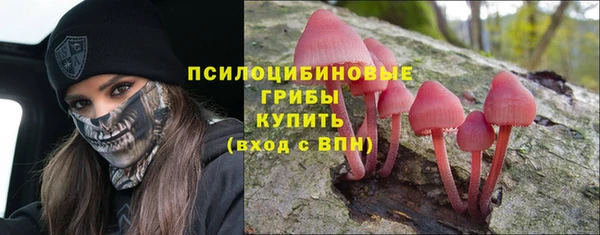 сатива Беломорск