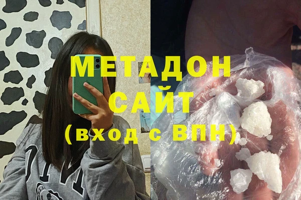 сатива Беломорск