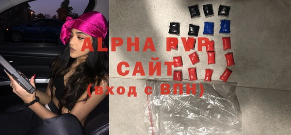 сатива Беломорск