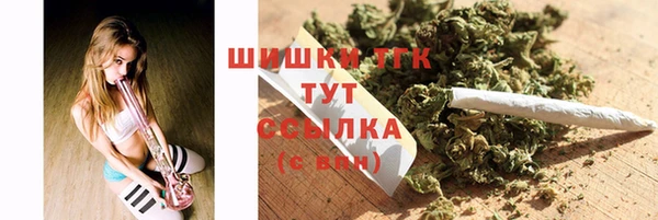 сатива Беломорск