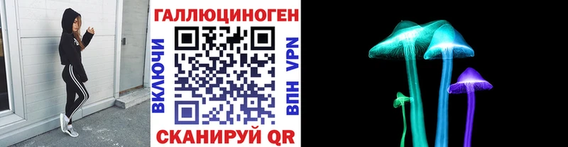 Галлюциногенные грибы Psilocybe  магазин    Кировск 