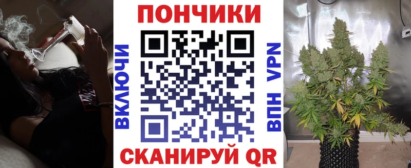 где продают наркотики  Кировск  Канабис марихуана 